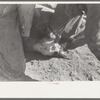 Burning out horns of calf. Roundup near Marfa, Texas