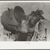 Detail of cowboy's saddle. Roundup near Marfa, Texas