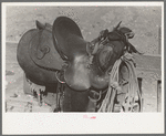 Detail of cowboy's saddle. Roundup near Marfa, Texas