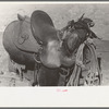 Detail of cowboy's saddle. Roundup near Marfa, Texas