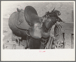 Detail of cowboy's saddle. Roundup near Marfa, Texas