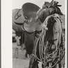 Detail of cowboy's saddle. Roundup near Marfa, Texas