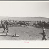 Cowboys roping and saddling horses. Corral at ranch near Marfa, Texas