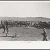 Cowboys roping and saddling horses. Corral at ranch near Marfa, Texas