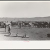 Cowboys roping horses at roundup near Marfa, Texas