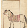 Equus Major (al-Faras)