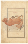 Aries (Hamal), as seen in the heavens. The mirror image on f. 79v