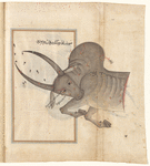 Taurus (Saur) as seen in the heavens. The mirror image of f. 85r