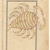 Scorpio ['Aqrab], mirror image of ff. 114v-115r