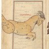 Capricorn [Jadî], as seen in the heavens