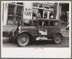 Geese in pen on side of car. Market Square,  Waco, Texas