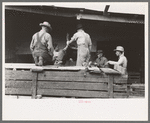 Unloading turkeys at Poultry Cooperative, Brownwood, Texas