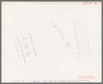 Identification tag on cow, stockyards, San Angelo, Texas