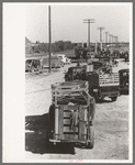 Lineup of trucks waiting to be unloaded at stockyard. San Angelo, Texas