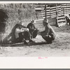 Cattlemen talking at stockyards at San Angelo, Texas