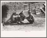 Cattlemen talking at stockyards at San Angelo, Texas