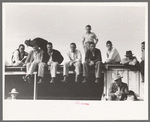 West Texans sitting on top of grandstand roof at horse auction. El Dorado, Texas