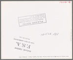 Mass feeding of cows, dairy, Tom Green County, near San Angelo, Texas
