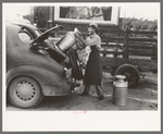 Loading empty milk cans into back of car, creamery, San Angelo, Texas