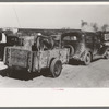 Cattle to be sold at stockyards auction are brought in by trailer. San Angelo, Texas