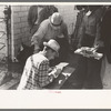 Checking in cattle to be sold at auction stockyards, San Angelo, Texas
