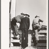 West Texas cattlemen looking over the cattle which are offered for sale, stockyards. San Angelo, Texas