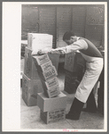 Checking delivery of supplies from wholesale grocery store, San Angelo, Texas