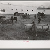 Lot in which farmers leave their wagons and horses while attending to do business in Eufaula, Oklahoma