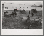 Lot in which farmers leave their wagons and horses while attending to do business in Eufaula, Oklahoma