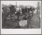 Lot in which farmers leave their wagons and horses while attending to do business in Eufaula, Oklahoma