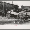 Lineup of wagons and mules hitched to posts, Eufaula, Oklahoma