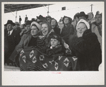 Spectators at a tense moment during the rodeo at the San Angelo Fat Stock Show, San Angelo, Texas