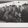 At the rodeo at the San Angelo Fat Stock Show, San Angelo, Texas