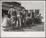 Lineup of ranchmen with their sheep waiting for the judging, San Angelo Fat Stock Show, San Angelo, Texas