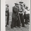 Men watching the judging of Hereford steers at the San Angelo Fat Stock Show, San Angelo, Texas