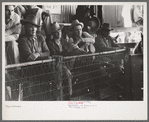 Spectators at auction of horses at the west Texas stockyards, San Angelo, Texas