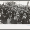 Crowd at the rodeo of the San Angelo Fat Stock Show, San Angelo, Texas