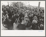 Crowd at the rodeo of the San Angelo Fat Stock Show, San Angelo, Texas