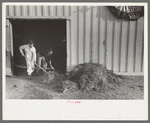 Working cowboys cleaning out the stock barns at the San Angelo Fat Stock Show, San Angelo, Texas