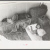 Cowboys asleep in horse show barn at San Angelo Fat Stock Show, San Angelo, Texas