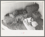 Cowboys asleep in horse show barn at San Angelo Fat Stock Show, San Angelo, Texas