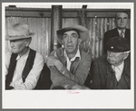 Spectators at stock auction at west Texas stockyards, San Angelo, Texas