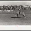 Rodeo performer riding a Brahma bull at the rodeo of the San Angelo Fat Stock Show, San Angelo, Texas