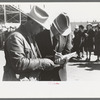 Judges of horses checking the entries at the San Angelo Fat Stock Show, San Angelo, Texas