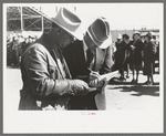 Judges of horses checking the entries at the San Angelo Fat Stock Show, San Angelo, Texas