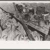 Goats and paint used for identification marks on ranch of rehabilitation borrower in Kimble County, Texas