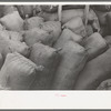 Sacks of mohair in storage at the warehouse of the Kimble Wool and Mohair Company, Junction, Texas