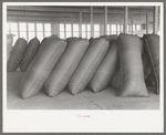 Sacks of wool in storage at wool scouring plant at San Marcos, Texas