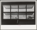 Windows in bedroom of family apartment at the Arizona Part-Time Farms, Chandler Unit, Maricopa County, Arizona. Cross ventilation is provided in all bedrooms on this project