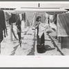 Wife of migratory worker hanging up laundry at the Agua Fria Migratory Labor Camp, Arizona